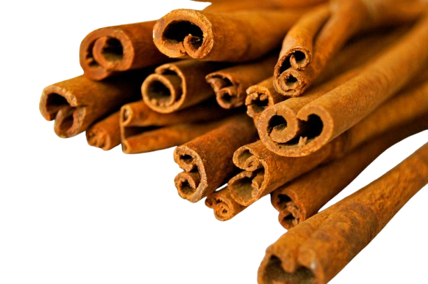 pexels pixabay 71128 removebg preview