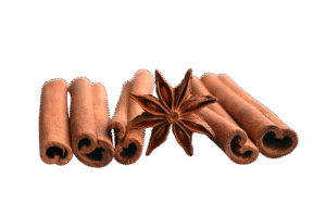 pexels mareefe 1008747 removebg preview