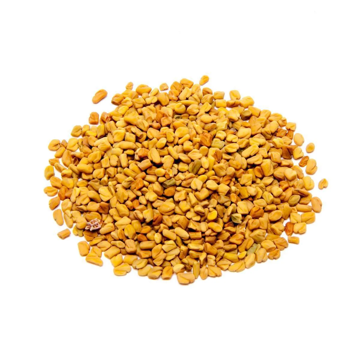 fenugreek fenugreek
