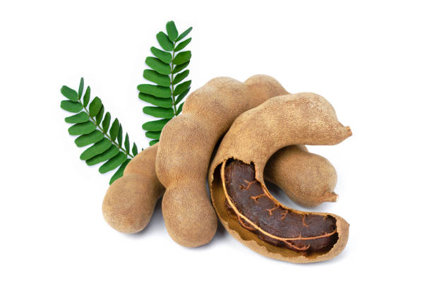 fresh tamarind with leaves isolated on white background. fresh tamarind with leaves isolated on white background.